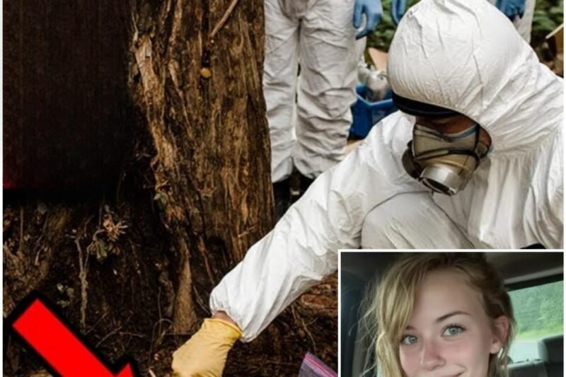 Hitchhiker verschwand 1996 in Nevada – 19 Jahre später wurde ihre DNA in TATTOO INK gefunden.