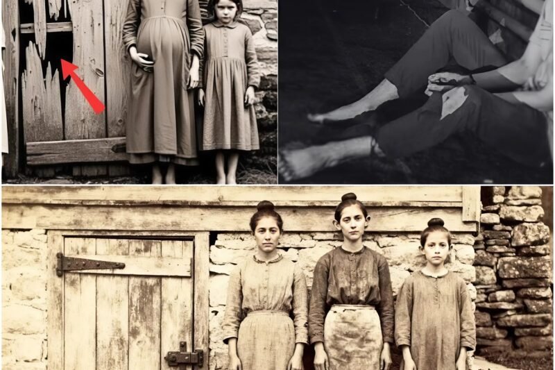 Diep in de stille Carter Gap: de angstaanjagende wraak van de zussen Byrd op hun vader Wald – De Kwade Kelder (1877) In de afgelegen heuvels van Tennessee in 1877, waar de kloven zo diep waren dat geschreeuw verdween in de bergmist, lag een plaats genaamd Carter Gap, een nederzetting van slechts 120 mensen, verspreid over landbouwgrond, zo geïsoleerd dat het kwaad er veertien jaar lang kon floreren.