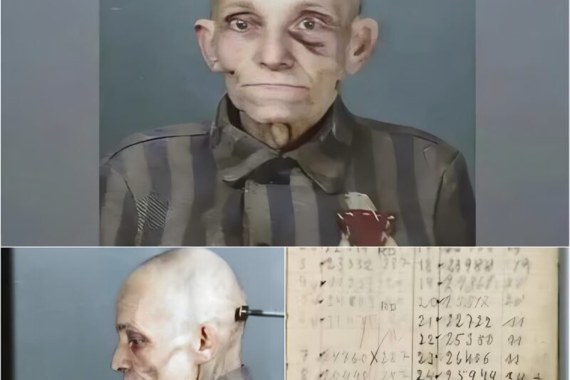 HET MEEST ONTROERENDE GEZICHT VAN AUSCHWITZ: De oude man die amper vijf dagen overleefde en de blik die dwars door de tijd heen sneed, een onvergetelijke uitdrukking, uitdagend en brutaal, geboren uit een hele eeuw leven in een hel op aarde (WAARSCHUWING: Deze publicatie bevat beschrijvingen die verband houden met de Holocaust).