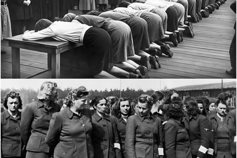 Duitse soldaten met gevangengenomen vrouwen, 80 jaar later stonden experts versteld en zwegen ze. Bereid je voor op een duik in een wereld waar de draden van het verleden de diepste geheimen kunnen ontrafelen. Vandaag vertellen we het verhaal van een oude foto uit de Tweede Wereldoorlog. Decennialang, in stilte bewaard, toont deze foto nazi-soldaten en gevangengenomen vrouwen. Niemand had kunnen bedenken dat een schokkende waarheid, verborgen in de zwart-witte pixels, al onze ideeën over dat tijdperk op zijn kop zou zetten.