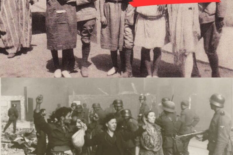 Franse gevangenen werden prostituees: wat Duitse soldaten deden nadat ze met hen sliepen…