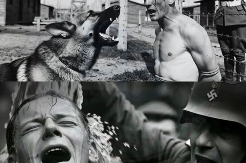 Bijt hem daar, FAS!”schreeuwde de Duitse officier, waarna de gevangene…