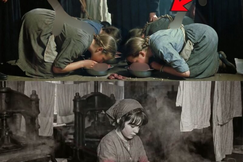 Wat de nonnen deden met 30.000 vrouwen op de Magdalena eilanden wasserijen in Ierland