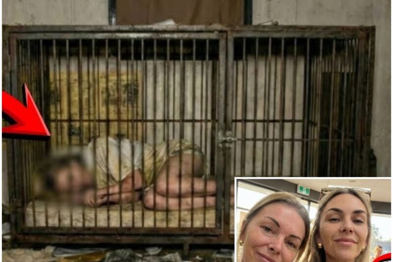 Moeder en dochter verdwijnen in de Sierra Nevada-een jaar later werd de dochter gevonden terwijl ze sliep in een trailer van een hondenkooi