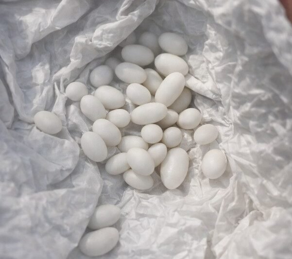 Ik vond vreemde witte bolletjes in de rugzak van mijn 15-jarige zoon: hij zegt dat het gewoon snoep is, maar ik geloof hem niet 😕