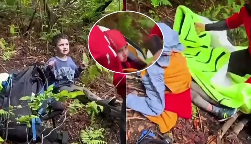 De vijfjarige Alex werd vermist aan de rand van een bos in Roemeens Transsylvanië en overleefde bijna drie dagen in een gebied waar zowel beren als wilde zwijnen rondlopen.