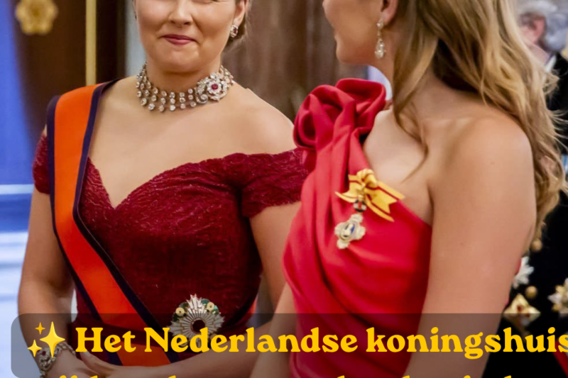 Zeven tiara’s schitteren tijdens staatsbanket Japans staatsbezoek in Amsterdam