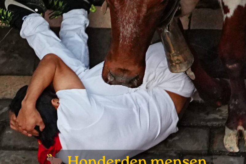 Dertien zwaargewonden bij derde stierenrennen in Pamplona