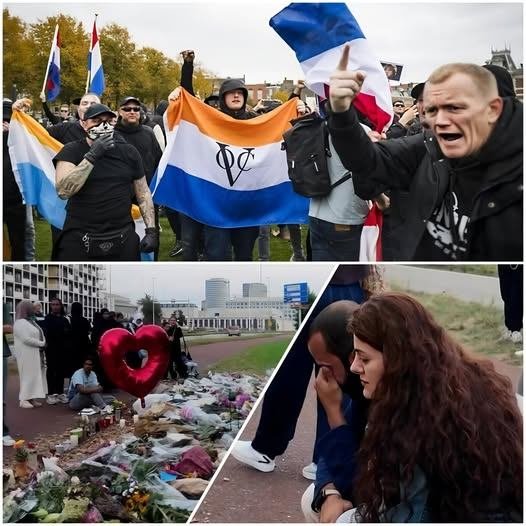 DODELIJK GEWELD TEGEN ASIELZOEKERS SCHOKT AMSTERDAM: politie start groot onderzoek – VB News