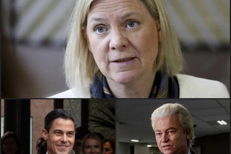 SCHOK IN NEDERLAND: Virale claim over Heineken-miljardair zorgt voor ophef – zou aftreden van Rob Jetten eisen – VB News